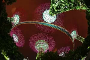 Images Dated 17th November 2015: Futuristic Supertrees Grove, Gardens by the Bay, Singapore