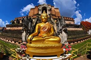 Images Dated 9th November 2014: Gold Buddha statue at Wat Chedi Luang Temple in Chiang Mai, Thailand