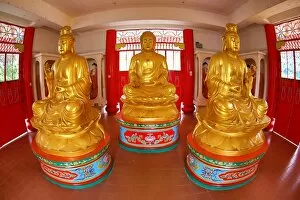 Penang, Malaysia Collection: Gold Buddha statues at Kek Lok Si Buddhist Temple, Georgetown, Penang, Malaysia