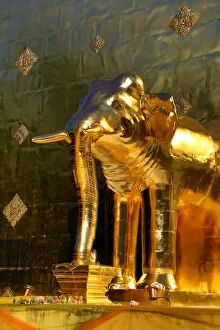 Chiang Mai Collection: Gold elephant statue on the chedi at Wat Phra Singh Temple in Chiang Mai, Thailand