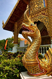 Gold Naga statue at Wat Phra Singh Temple in Chiang Mai, Thailand Gold Naga statue at Wat Phra Singh Temple in Chiang Mai, Thailand