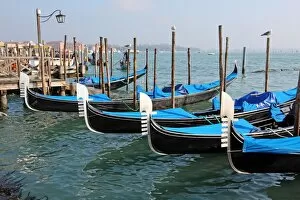 Images Dated 10th February 2013: Gondolas and San Giorgio Maggiore in Venice, Italy