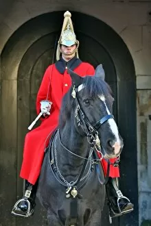 Images Dated 11th November 2012: Guard on a horse at Horseguards Parade, London