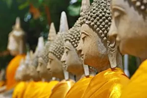 Ayutthaya, Thailand Collection: Heads of Buddha statues, Wat Yai Chaimongkol Temple, Ayutthaya