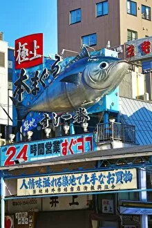 Images Dated 31st January 2014: Japanese Tuna fish sign, Tokyo, Japan