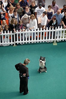 London Pet Show 2011