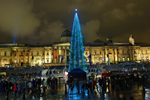 Lighting of the Trafalgar Square Christmas Tree lights in London Lighting of the Trafalgar Square Christmas Tree lights in London