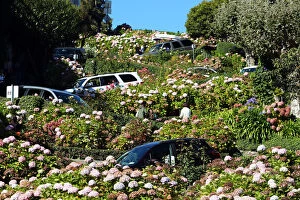 San Francisco Collection: Lombard Street, the crookedest street in the workd in San Franciso, California, USA
