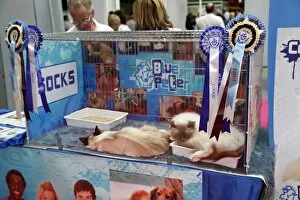 Images Dated 7th May 2011: London Pet Show 2011