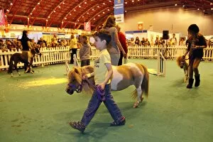 London Pet Show 2012 Collection: Miniature pony display at the London Pet Show