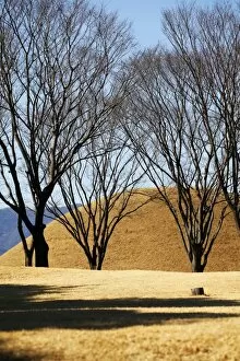 Images Dated 11th February 2012: Mound tombs of Korean Kings Past in Gyeongju, South Korea
