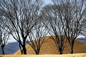 Korea - Gyeongju Collection: Mound tombs of Korean Kings Past in Gyeongju, South Korea