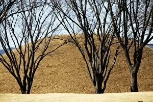 Images Dated 11th February 2012: Mound tombs of Korean Kings Past in Gyeongju, South Korea