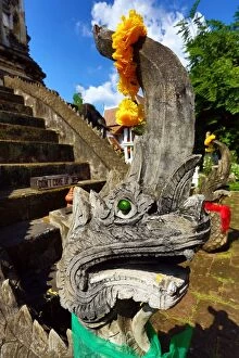 Images Dated 9th November 2014: Naga snake statue at Wat Chiang Man Temple in Chiang Mai, Thailand