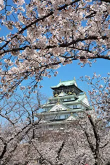 Images Dated 4th April 2019: Osaka Castle seen through the branches of cherry blossom, Japan