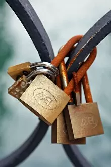 Images Dated 9th February 2013: Padlocks on a bridge in Venice, Italy