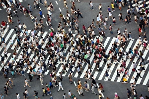 The pedestrian crossing at the intersection in Shibuya, Tokyo, Japan