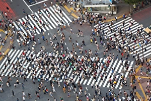 People crossing the pedestrian crossing at the intersection in Shibuya, Tokyo, Japan People crossing the pedestrian crossing at the intersection in Shibuya, Tokyo, Japan