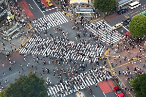 The pedestrian crossing at the intersection in Shibuya, Tokyo, Japan