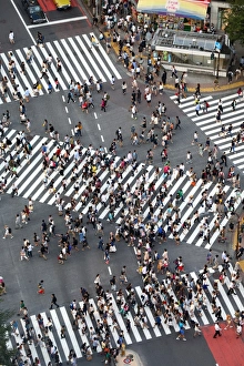 The pedestrian crossing at the intersection in Shibuya, Tokyo, Japan