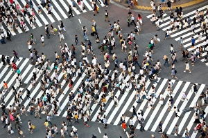 The pedestrian crossing at the intersection in Shibuya, Tokyo, Japan