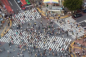 The pedestrian crossing at the intersection in Shibuya, Tokyo, Japan