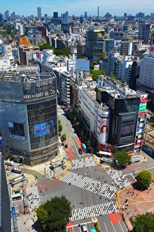 The pedestrian crossing at the intersection in Shibuya, Tokyo, Japan