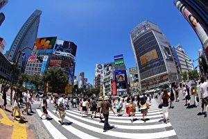 The pedestrian crossing at the intersection in Shibuya, Tokyo, Japan