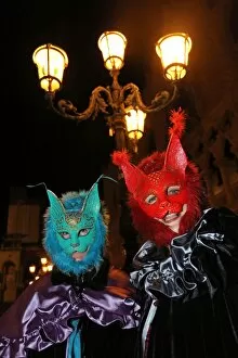 Images Dated 7th February 2013: People wearing cat masks and costumes at the Venice Carnival