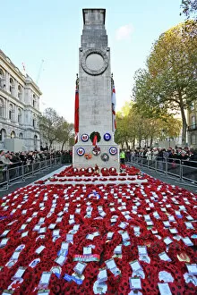 Remembrance Day Collection: Poppies and wreathed on Remembrance Day at the Cenotaph, London