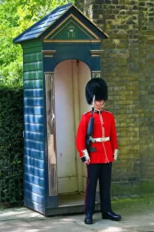 Images Dated 4th May 2014: Queens Guard wearing busby guarding St James Palace, London, England
