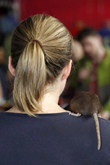 London Pet Show 2011