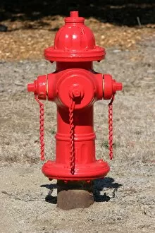 Red Collection: Red fire hydrant
