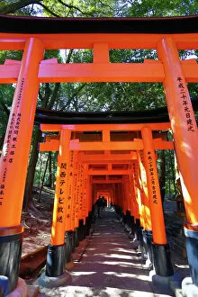 Trending: Red torii gate tunnel at Fushimi Inari Shinto shrine in Kyoto, Japan