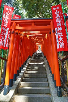 Red Torii gates and steps to the entrance to the Hie-Jinja Shinto Shrine in Tokyo, Japan Red Torii gates and steps to the entrance to the Hie-Jinja Shinto Shrine in Tokyo, Japan