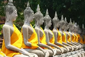 Images Dated 8th July 2017: Row of Buddha statues at Wat Yai Chaimongkol Temple, Ayutthaya, Thailand