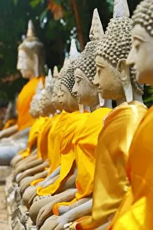 Images Dated 8th July 2017: Row of Buddha statues at Wat Yai Chaimongkol Temple, Ayutthaya, Thailand