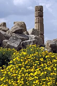 Images Dated 26th March 2012: Ruins of Selinunte, Sicily, Italy