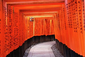 Editor's Picks: Senbon Torii, tunnels of red torii gates, at Fushimi Inari Shinto shrine in Kyoto, Japan