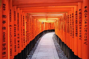 Trending: Senbon tunnel of Torii gates, Fushimi Inari shrine, Kyoto, Japan