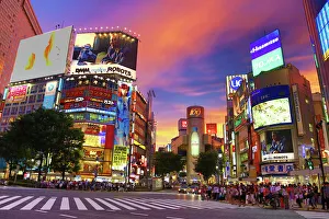 shibuya pedestrian crossing intersection lights