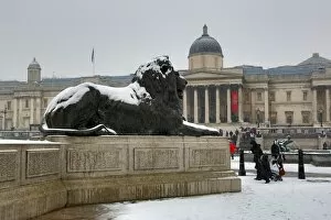 Images Dated 20th January 2013: Snow on a lion and the National Gallery in Trafalgar Square, London