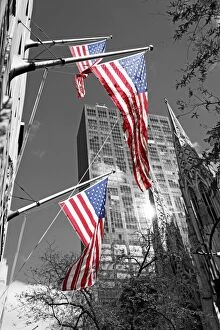 Spot Colour Collection: Stars and stripes American flags and St. Patricks Cathedral in New York, USA