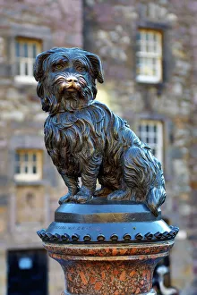 Statue of Greyfriars Bobby on Candlemaker Row, Edinburgh, Scotland Statue of Greyfriars Bobby on Candlemaker Row, Edinburgh, Scotland