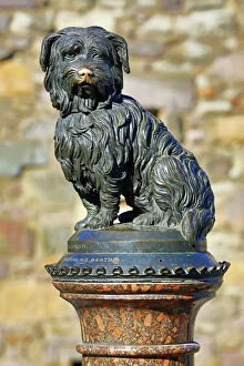 Images Dated 30th April 2016: Statue of Skye Terrier dog Greyfriars Bobby, Edinburgh, Scotland