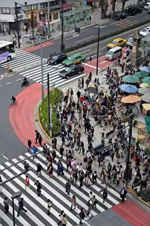 Images Dated 30th March 2013: Street scene showing crowds of people crossing the street on a pedestrian crossing in Harajuku