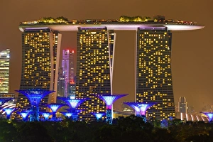 Supertrees in the Supertrees Grove in the Gardens by the Bay, Singapore, Republic
