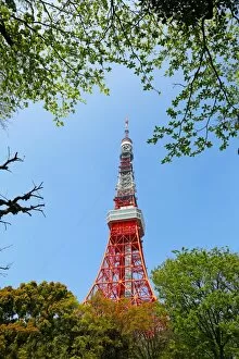 Images Dated 5th April 2013: Tokyo Tower in Tokyo, Japan