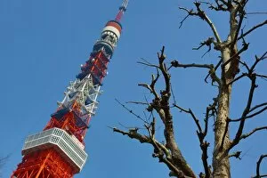 Images Dated 5th April 2013: The Tokyo Tower, Tokyo, Japan
