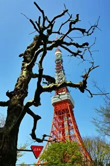 Images Dated 5th April 2013: The Tokyo Tower, Tokyo, Japan